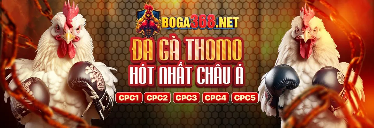 Đá gà trực tiếp bong8899 trường đấu cạnh tranh